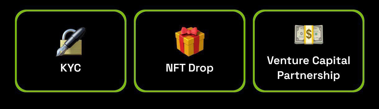 How to get a Golden Wheel in Dropee and win USDT?