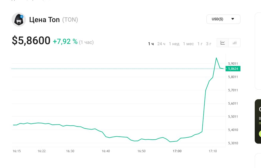 TON growth amid news about Durov