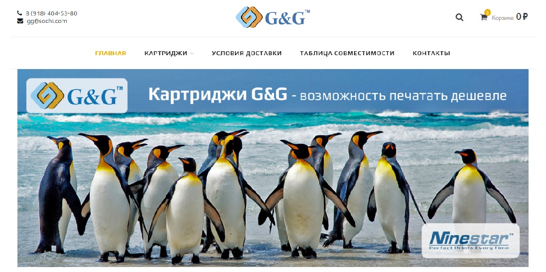 Скриншот первого экрана интернет-магазина G&G