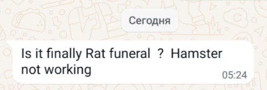 "Ну что, наконец-то похороны крысы? Hamster Kombat не работает!"