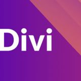 Самая популярная тема для Wordpress: особенности Divi, плюсы и минусы