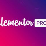 Как обновить WP Elementor до версии Pro? 2 метода