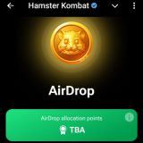 Airdrop in Hamster Kombat: what will affect airdrop points distribution? What is TBA?