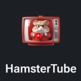 HamsterTube Card in Hamster Kombat: Upgrade Cost and Hourly Profit