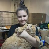 Кот Крошик из Перми заново учится ходить (ВИДЕО)