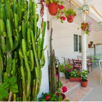 Mini hotel Little Star (Loo, Sochi): official website