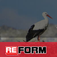 Reform, furniture salon in Sochi (single page website)