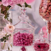 50/50 cafe and Lakomka cake shop, Sochi - official website