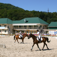 Horse riding center, Sochi: responsive WP site