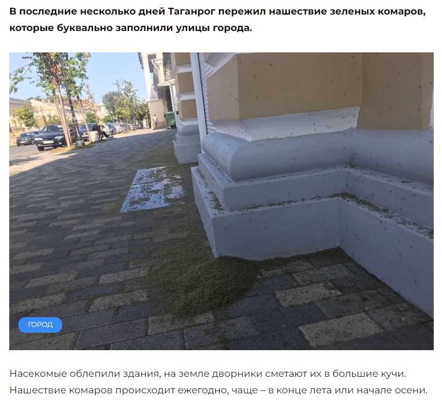 "Зеленые комары в Таганроге": правда или фейк?