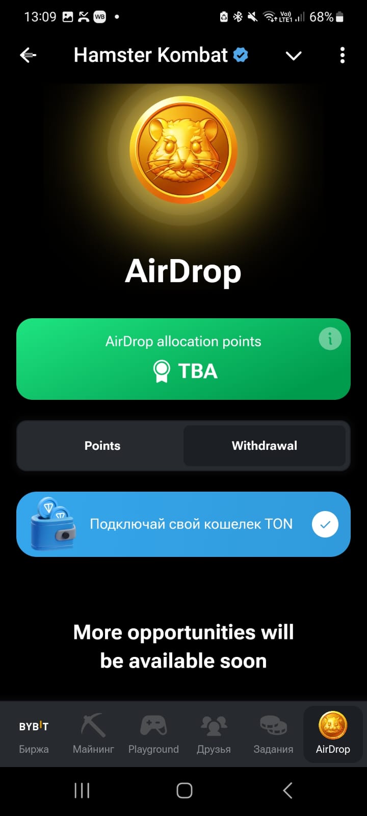 Airdrop in Hamster Kombat: what will you get airdrop points for? What is TBA?