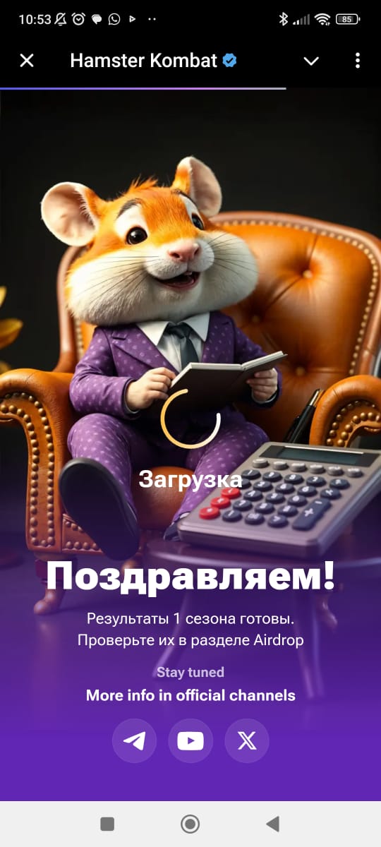 We calculated the drop in Hamster. What factors influenced the result of season 1 - the number of earned HMSTR tokens